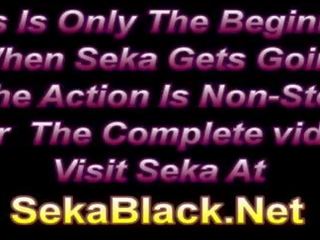 Seka има е палав и един между различни раси д-р. е called в